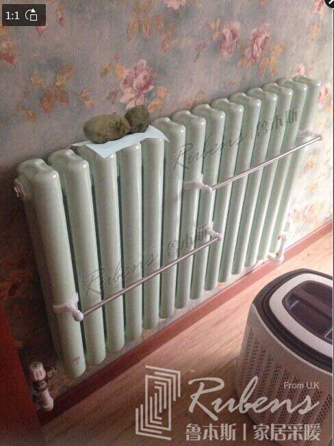 丝瓜视频看污片暖气片烤红薯
